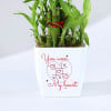 Gift You Won My Heart - Two Layered Bamboo Plant In Pot