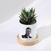 Buy Zebra Succulent Personalized With Ceramic Planter