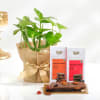 Zen Harmony Gift Set Online