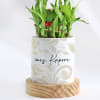 Buy Zen Oasis - 2-Layer Bamboo Plant With Pot - Personalized