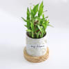 Shop Zen Oasis - 2-Layer Bamboo Plant With Pot - Personalized