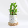 Zen Oasis - 2-Layer Bamboo Plant With Pot - Personalized Online