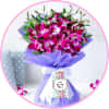 Orchids